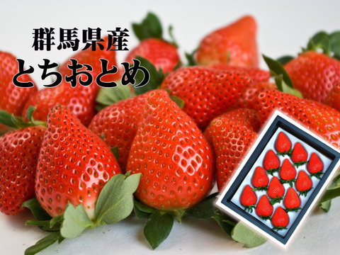 【群馬県産】高級いちご♪とちおとめ化粧箱