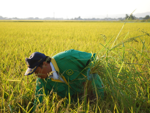 金賞受賞の農家が作る　特別栽培米  あきたこまち