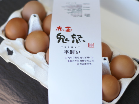 【60個(10個入り6パック)】白身も美味い平飼い産みたて新鮮卵 (MS〜L寸 60個)【ﾃﾚﾋﾞ東京昼めし旅で紹介されました！】