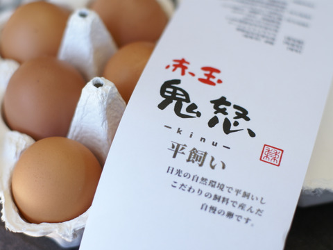 【食べ比べ】烏骨鶏卵（6個）と赤玉卵（10個）NANTAIファーム2種の産みたて卵セット