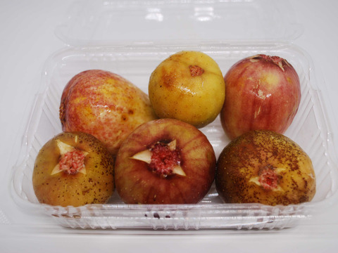 イチジク(５～１０個前後）２パック【あわせ買い可】【農薬・化学肥料不使用】【熨斗(のし)対応可】６０サイズ箱