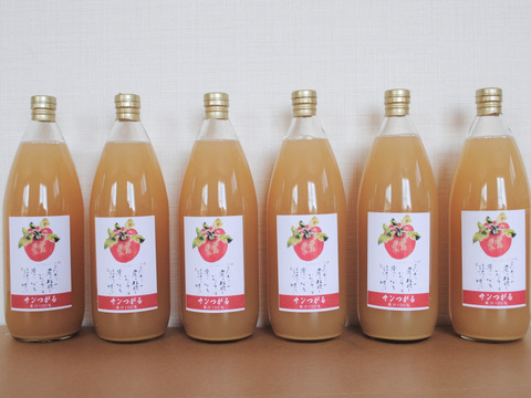 優しい甘み【６本セット】りんごつがるストレートジュース1000ml