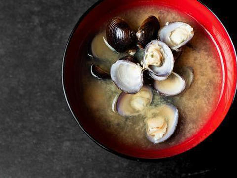 【送料お得】十三湖産大和しじみ　お得なおまかせサイズ5kg