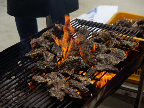 旨味たっぷり今が旬！！倉橋生牡蠣むき身大小混ざり１ｋｇ・殻付き１０個　両方楽しめるセット
