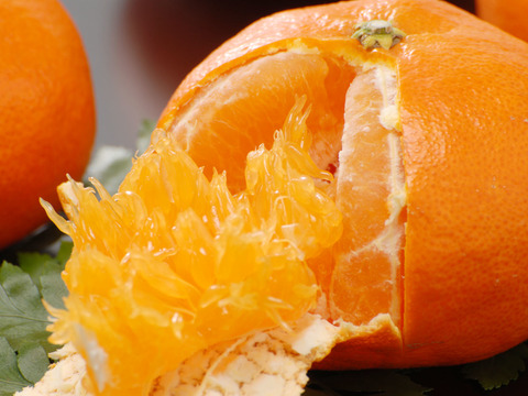 【柑橘食べ比べ】デコ媛と甘平の究極の食べ比べセット各1kgセット