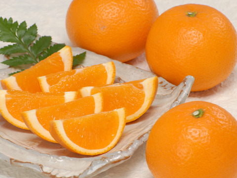 清見オレンジ家庭用5kg