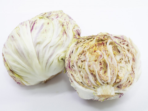 食卓に咲く「食べるバラ」。京都丹波産・高級チコリ「ルシア」ー 苦み少なく、驚きの美しさ　１玉（約３００ｇ）