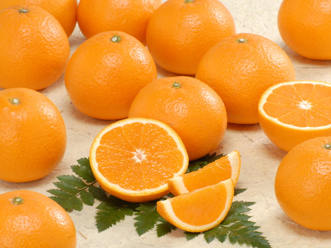 清見オレンジ家庭用8kg