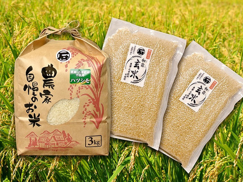 【2０名限定】幻と言われるお米ハツシモ玄米ご飯セット(精米３㎏玄米９００g×２袋)