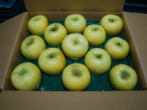 【先行予約】　家庭用　シナノゴールド10ｋｇ　青森県産りんご