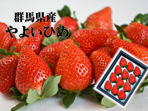 【群馬県産】高級いちご♪やよいひめ化粧箱