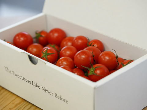 カピオプレミアムフルティカ Mサイズ 550g