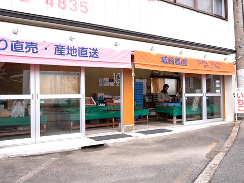 おいしさ追求 ! 食べ比べ ! 恋ひめ・恋みのり(300g✕8パック) 【いちご食べ比べ】