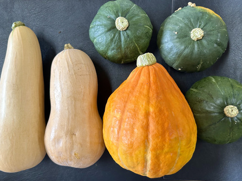 【おうち　de ハロウィン(^^♪】かぼちゃセット