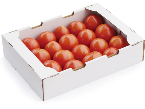 濃厚とろける！ひばりトマト2キロ