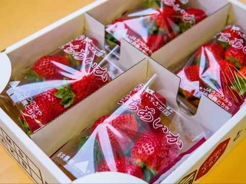 朝摘み！栃木県産★完熟とちあいか！大玉！甘くて酸味が少ない品種です！