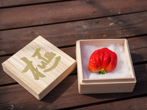 特秀あまおう苺「極」 (55g～80g以下)【冬ギフト】