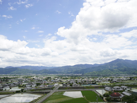 清流吉野川の恵み🌾  令和８年産　新米コシヒカリ  【玄米１０㎏】