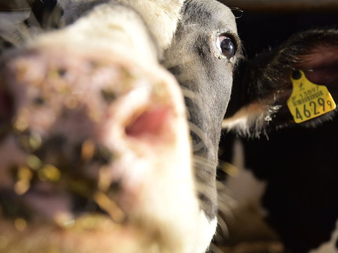 【北海道十勝鹿追町からお届け】
牧場てづくり乳製品セット　『サーラ』