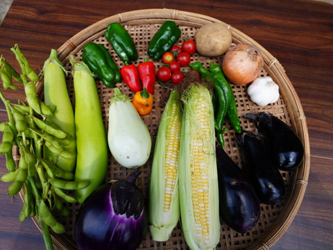 泊まれる農家の季節のやさいセット