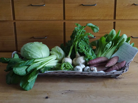 『新もの3兄弟入り！』旬の野菜セット9品前後〈農薬等不使用栽培〉100サイズ