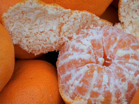 愛媛県産　かじ坊　みかん大玉！
家庭用　5ｋｇ！！