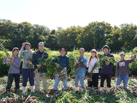 【淡路島産】夏ギフト_新鮮夏野菜をお届け！6~7種詰め合わせ(送料込）