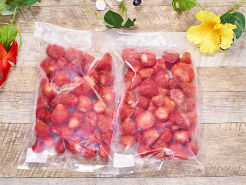冷凍あまおう！朝採り完熟！ヘタ取り・無添加・洗浄済！1kg(500g×2)