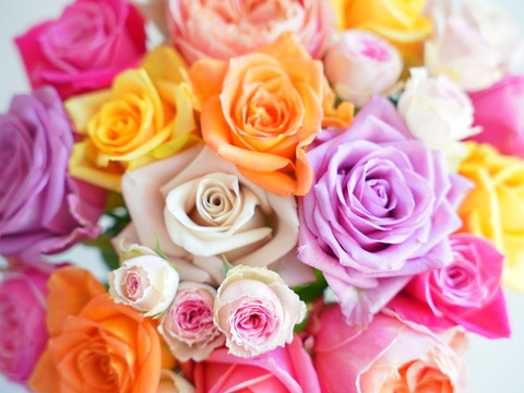 Rose mix M〜奇日根のおすすめ品種で作るおまかせ花束〜