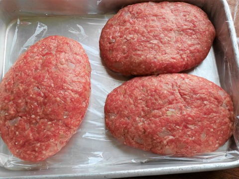 若狭牛100％ 絶品ハンバーグ　200g×4個