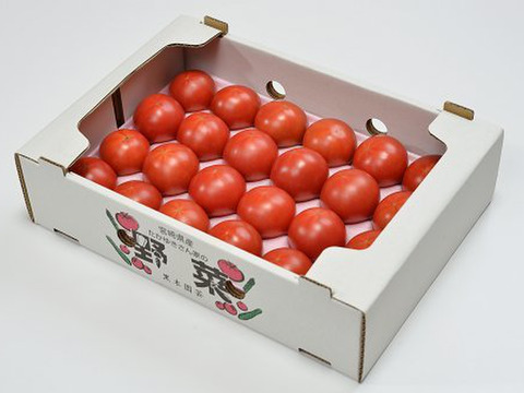 旨み凝縮 濃厚トマト 黒木園芸のセレブスイート1kg 12 24玉 宮崎県産 食べチョク 農家 漁師の産直ネット通販 旬の食材を生産者直送 旨み凝縮 濃厚トマト 黒木園芸のセレブスイート1kg 12 24玉 宮崎県産 食べチョク 農家 漁師の産直ネット通販 旬の食材を生産者直送