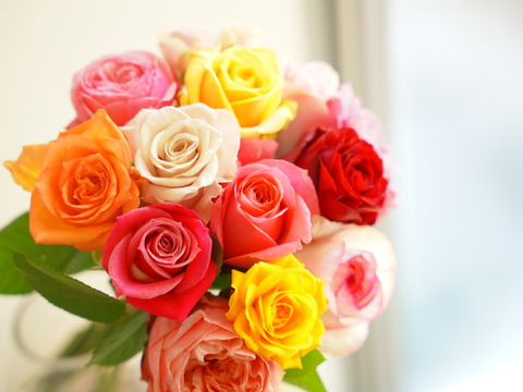 Rose mix S 〜奇日根のおすすめ品種で作るおまかせ花束〜