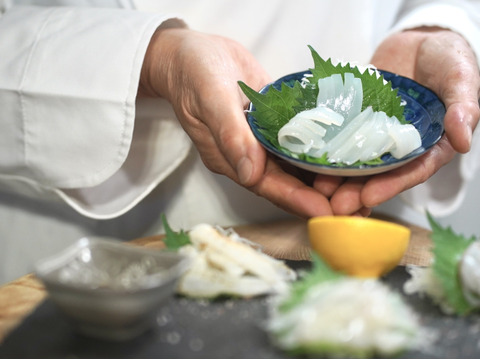 【総注文数1000件突破！】夏のお勧め😆高知の剣先イカ約2kg【手釣り】