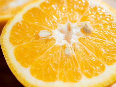 【有機JAS認証】尾鷲甘夏5kg　むいた瞬間、春が来る。