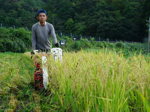 令和6年新米」天日干し 自然栽培 ササニシキ 5kg：福井県産の
