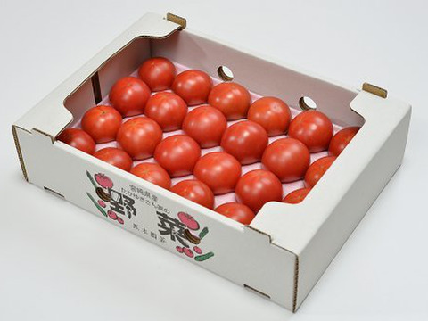 旨み凝縮！！濃厚トマト、黒木園芸のセレブスイート1ｋｇ（12~24玉