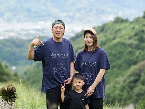 豊水梨（小箱）袋掛け栽培【秀品】天空の村よりお届け♫