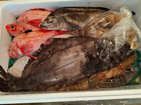 松コース 【お盆明け発送】船頭にお任せ！鮮魚ボックス（詰め合わせ）海鮮セット