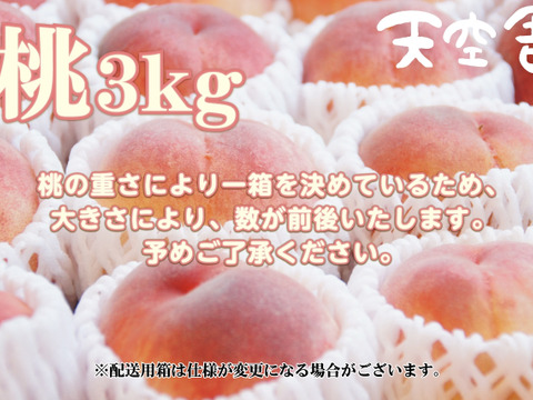 夏のギフト・7月下旬】かたい桃「おどろき」約3kg・9～12玉1箱
