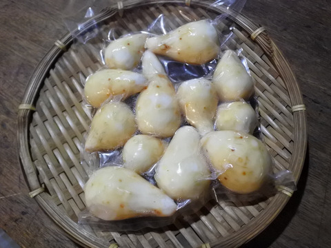 ”きぬかつぎ”がおススメ　熊本の伝統野菜　つるのこ芋（3キロ）皮むき