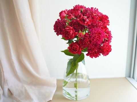 ＜母の日限定＞ ユニークローズ #紅華美の花束