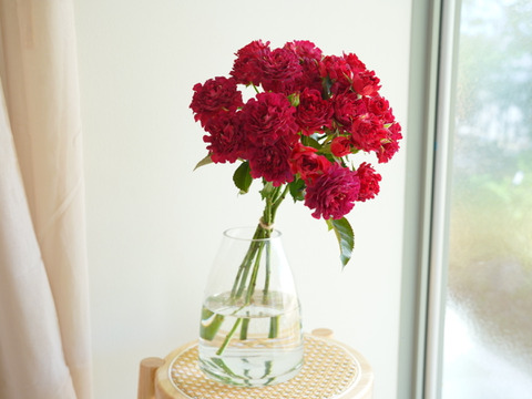 ＜母の日限定＞ ユニークローズ #紅華美の花束