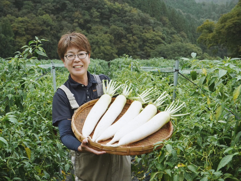 【無添加】【厚切り】切り干し大根へ　50
g×１０袋