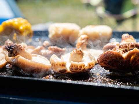 肉厚でやわらかな食感です！秋田県東成瀬産【仙人しいたけ】※約500g