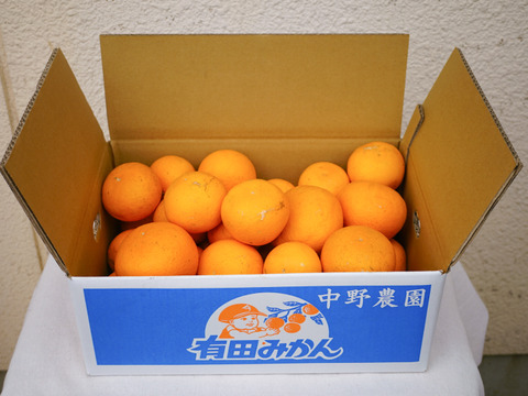 【まるでゼリー！】清見オレンジ 5kg 和歌山県産