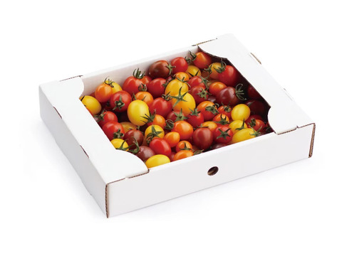 カラフル楽しい！ミニトマト詰め合わせ　Iキロ