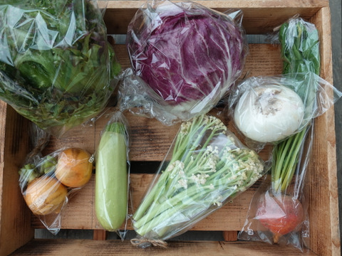 旅する畑から届く、季節の彩り野菜セット（7-8種類）