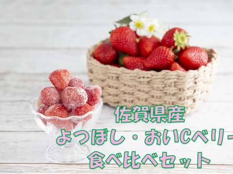 ひんやり美味しい!食べ比べセット!冷凍いちご【よつぼし】【おいCベリー】500g各2袋づつ