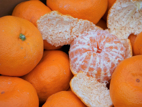 愛媛県産　かじ坊　みかん大玉！
家庭用　5ｋｇ！！