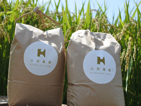 【令和3年産　新米】農薬化学肥料不使用　夢しずく（白米2kg×2袋）